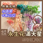 滿天星 永生非仿真！滿天星 卡斯比亞 水晶草 畢業花束 情人節花束 材料包 乾燥花材 DIY乾燥花 永生花材 手作DIY