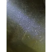 淡水萼花臂輪蟲培養基(Bdelloid rotifer)300ml/卵生魚苗開口飼料