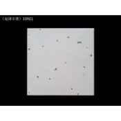 《磁磚本舖》30R01 灰色水磨石 30*30CM 地壁可用 廁所 頂樓 騎樓 石英磚 台灣製造