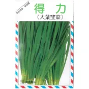 (店+)得力大葉韭菜種子 韮菜 3兩裝 大包裝 全年可播種 日本進口 蔥類種子 興農種苗 家庭園藝 彩色原包裝