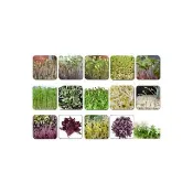 【蔬菜工坊】芽菜類種子系列-各包裝數量詳見內文及圖片說明(苜蓿芽 蘿蔔嬰 青花椰菜芽 小麥草)