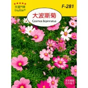【台灣出貨 電子發票】大波斯菊 種子｜F-281｜家庭園藝｜花卉種子｜天星牌｜空中花園藝世界