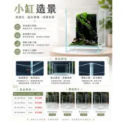 懸浮缸【新莊/五股/青島水族】15 20 25 30 公分 超白 方型 超白缸 立方缸 開放缸 漂浮缸