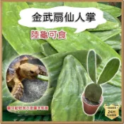 寵物都更所 無毒有機金武扇仙人掌 陸龜聖品 補品 多肉植物團善有機飼料爬蟲草食物材蘇卡達亞達柏拉赫曼豹龜櫻桃紅腿 烏龜水