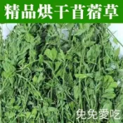 牧草甜燕麥草燕麥草甜小麥草苜蓿提摩西一割二割高纖磨牙健齒兔子龍貓荷蘭豬全階段適用營養全面適口性好