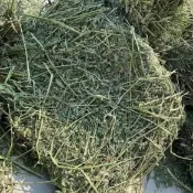 成寵低脂高纖草捆25公斤 萌寵牧草 兔子草 提摩西一割 苜蓿 燕麥草 百幕達 維持龍貓豚鼠荷蘭豬體態健康