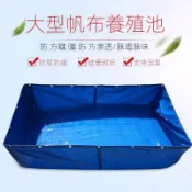 【快速出貨 可開發票】帆布魚池養魚水池防水布專用加厚帶支架養殖簡易水箱游泳池蓄水池