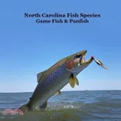 【三民網路書店】North Carolina Game Fish and Panfish Species Kids Book: Great Book About the Different Types of Fish in North Carolina 作者：Kinsey Marie