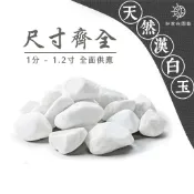 漢白玉  白色卵石🔥販售單位1KG🔥白石 石頭 鋪面石頭 多肉鋪面 多肉介質 園藝介質 白鵝卵石 陽台鋪面 地面造景
