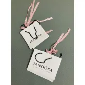 潘朵拉 pandora 紙袋 提袋 拋光布