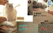 【mimiCo貓砂】 黑砂 28.8kg (7.2kg x 4包）