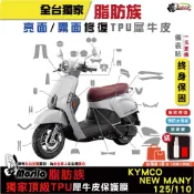 光陽 KYMCO Many LED 125 New Many 125/110 脂肪族 犀牛皮 儀表貼 螢幕貼 保護膜