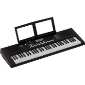 【ROLAND 樂蘭】E-X10 61鍵電子琴 伴奏電子琴 EX10(公司貨/產品註冊兩年保固)