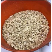 （天然飼料/零食）麥片600g 成雞飼料 大雞飼料 成鴨飼料 大鴨飼料 火雞飼料 鵝飼料 家禽飼料（非人可以食用）