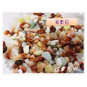 森華商城➜◊天然石頭◊[小多彩石]單/包 魚缸底砂/水族造景/園藝裝飾/盆栽舖面石頭
