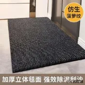 【小可精選國際購】菠蘿絲高級感入戶門地墊進門墊防滑腳墊吸水耐臟可裁剪免洗大門口