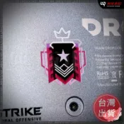 【車貼】彩虹六號Rainbow six R6  冠軍 鑽石 翡翠段位轉印防水貼紙 彩六