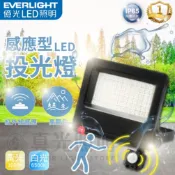 億光 LED 感應投光燈 30W/50W  IP65 防水防塵 全電壓 紅外線感應 白光黃光 停車場燈 車道燈 庭院燈