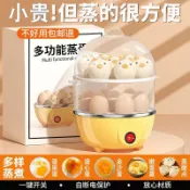 ✨全新精選好物✨新款煮蛋器自動斷電蒸蛋器多功能蒸雞蛋家用全自動小型早餐神器
