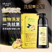 【F P】✦台灣出貨✦老薑王一隻黑/瑪奇諾/自然黑/一支彩/染髮/染髮劑/一支黑/天然植物染髮劑500ml