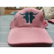 中華職棒母親節實戰球帽-LaNew熊