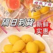 隔日送達🔥甜脆桃 鎖喉桃 黃桃 脆桃 酸甜脆桃 大包裝 95g/包 童年嘚迴憶 蜜餞 果脯 懷舊 小零食 鎖喉桃 甜脆桃
