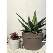 花言草語園藝 🪴3吋 4吋 5吋 6吋仿陶素燒盆 瓦仔盆 多肉植物 室內植物 仙人掌