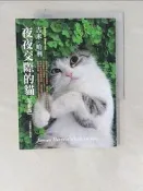 【露天書寶二手書T1/翻譯小說_Z5T】夜夜交際的貓(全新版)_吉米．哈利