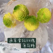萬花。瞳 乾燥花素材-日本進口太陽玫瑰 索拉花 通草花 繽紛（薄荷糖）婚禮佈置/手作素材/攝影道具/新娘捧花