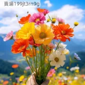 現貨 波斯菊種子（250粒）四季種植 格桑花種子 四季開花不斷 野花組合耐寒耐病易養活 室內庭院觀賞 花卉 觀賞植物盆栽