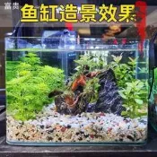 免運 【新店大促】雨花石 雨錵石原石魚缸底砂火山石造景小石頭裝飾彩色石子五錵石龜缸