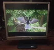 (a)Acer AL1917 液晶螢幕｜4:3 經典比例｜一個亮點｜可加購線材