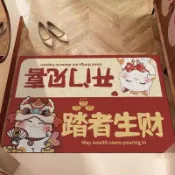 入戶門 絲圈 地墊 進門 加厚 玄關 腳墊 新中式 大門口 出入平安 墊子