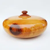 (店+)台灣黃檜 聚寶盆 特選樹頭料 重油大樹結 3D閃花 直徑39cm A108 十木工坊