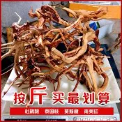 全場九【滿200出貨】天然杜鵑根棲根沉木魚缸雨林缸數枝數根造景微景觀