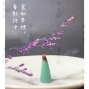 台灣現貨 買一送一 靜夜小塔香 2.7公分小塔香 香薰 香錐 泰國 印度 #觀世音供香坊