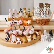 (店+)動物公仔 貓咪 極度花燥 資材 永生花 乾燥花 不凋花 公仔 瞌睡動物 動物 微景觀 畢業季 畢業 七夕 情人節