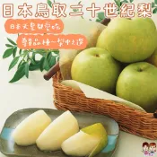 【緁迪水果JDFruit】日本鳥取二十世紀梨 水晶梨中的珍品 日本空運直送l 送禮嚴選