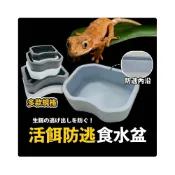 (店+)爬蟲食盆 守宮水盆 倉鼠食盆 食盆 防逃脱 防逃逸 守宫食盆 水盆 麵包蟲 大麥蟲 蛇 兩棲餵食盤 蜘蛛 昆蟲 食盤