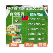(店+)200公分寬的特密防曬防水防焰超仿真人工草皮 柔絲草皮 人造草皮 假草皮 草皮地墊