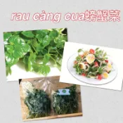 螃蟹菜/草胡椒苗 rau càng cua giống生菜、5吋盆與穴盤苗/下單前先詢問Rau càng cua