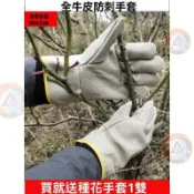 園藝手套園林修剪月季玫瑰花椒摘板栗子牛皮防刺針紮鐵削護手特價