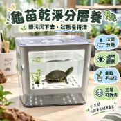 龜苗沉澱分養盒 透明發色盒 桌面飼養套缸 烏龜隔離盒 養龜箱 巴西龜飼養箱 烏龜盒 龜曬台 活體龜苗 果核龜 屋頂龜