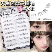 貓精靈(台灣現貨) 下睫毛(🎁送夾子+膠水)💗甜酷毛流 小火苗 小野貓 四大美人 下睫毛（非免膠）