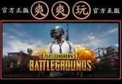 PC版 爽爽玩 STEAM 全新帳密乾淨安全 多人連線 吃雞 絕地求生：大逃殺 PUBG:BATTLEGR