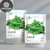【原裝水晶冰菜種子】 日本稀有蔬菜 生菜沙拉 高級餐廳食材 陽台盆栽 自種冰菜 耐鹽鹼 特色蔬菜 新手易種植