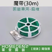 (店+)魔帶 30m 園藝萬用魔帶 園藝紮帶 綁帶 扁線 束帶 鐵絲帶 附切斷器【HOMEDEN霍登園藝】