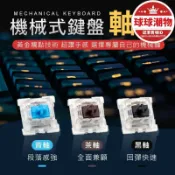 天天優選百貨 精選好物【限量供應】機械鍵盤軸體 可換軸 自主換軸 青軸 黑軸 紅軸 茶軸 鍵盤修復 兩針腳 拔軸器 可混搭