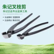 協貿國際日用品生活6館 朱記斜口剪叉枝剪朱記盆景工具斜口鉗叉枝剪刀盆景剪刀朱記