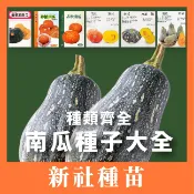 南瓜種子大全｜各式南瓜｜栗子南瓜｜南瓜｜木瓜型｜砂糖南瓜｜日本南瓜｜開心農場｜居家種植｜蔬菜專業戶｜蔬菜種子｜園藝 ｜